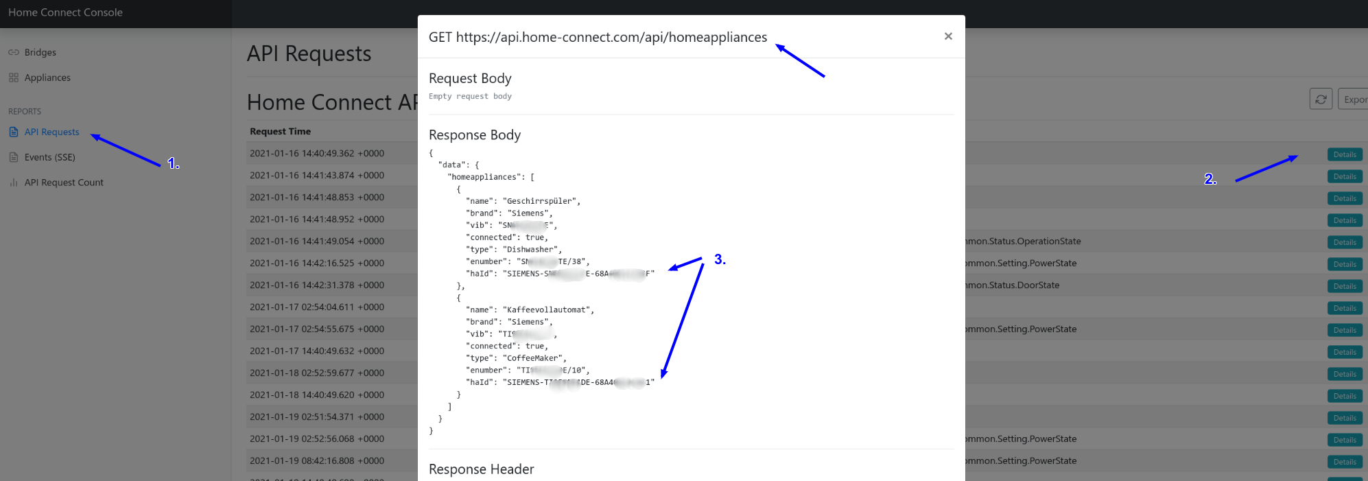 First request Screenshot Home Connect Binding UI